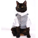 Sparkle in Sky(Cat)