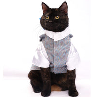 Sparkle in Sky(Cat)