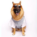 Sparkle in Sky (Dog)