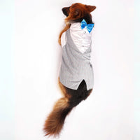 Sparkle in Sky (Dog)