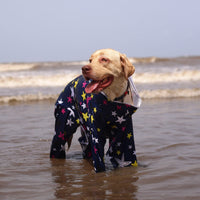 Multistar Rain-romper(Dog)