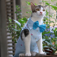 Strawberry Stripes (Cat)