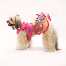 Techno Pompom (Dog)