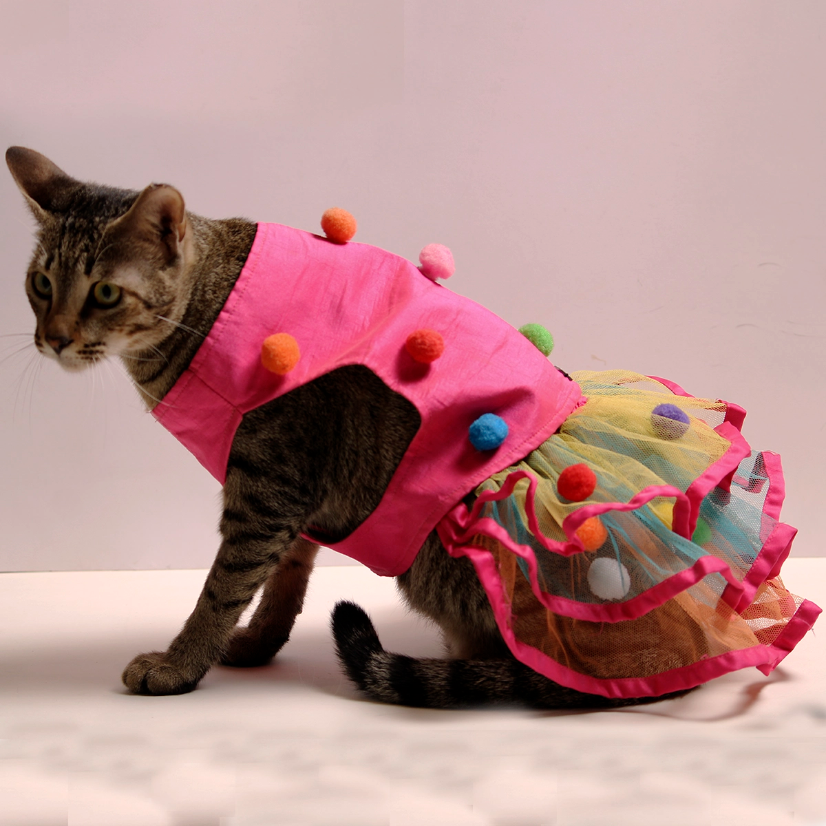 Techno Pompom (Cat)
