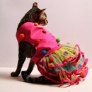Techno Pompom (Cat)