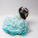 Tiff Any Love (Dog)
