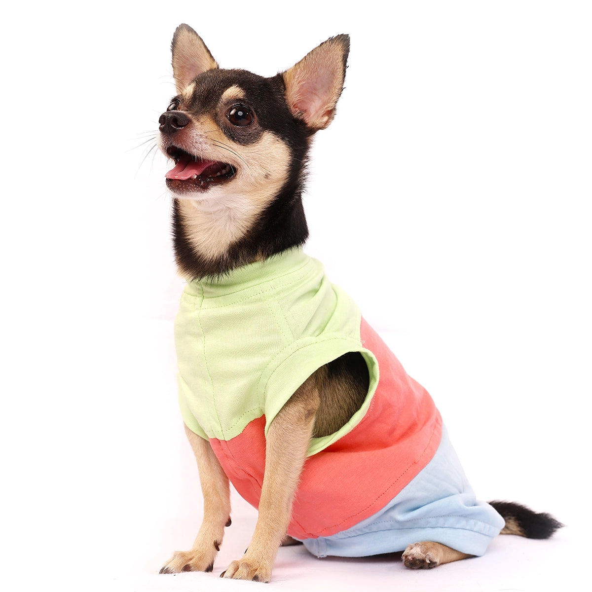 Tri Tee (Dog)
