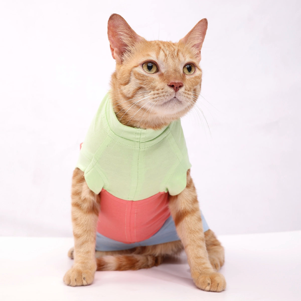 Tricolour Tee (Cat)