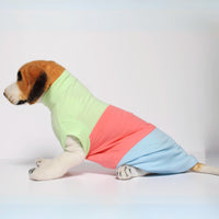Tricolour Tee (Cat)