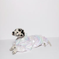 White Euphoria(Dog)