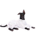 White Euphoria(Dog)