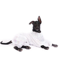 White Euphoria(Dog)