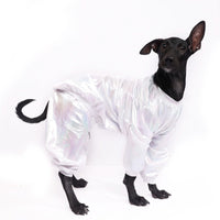 White Euphoria(Dog)