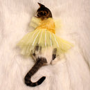 Yellow Ice(Cat)