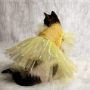 Yellow Ice(Cat)